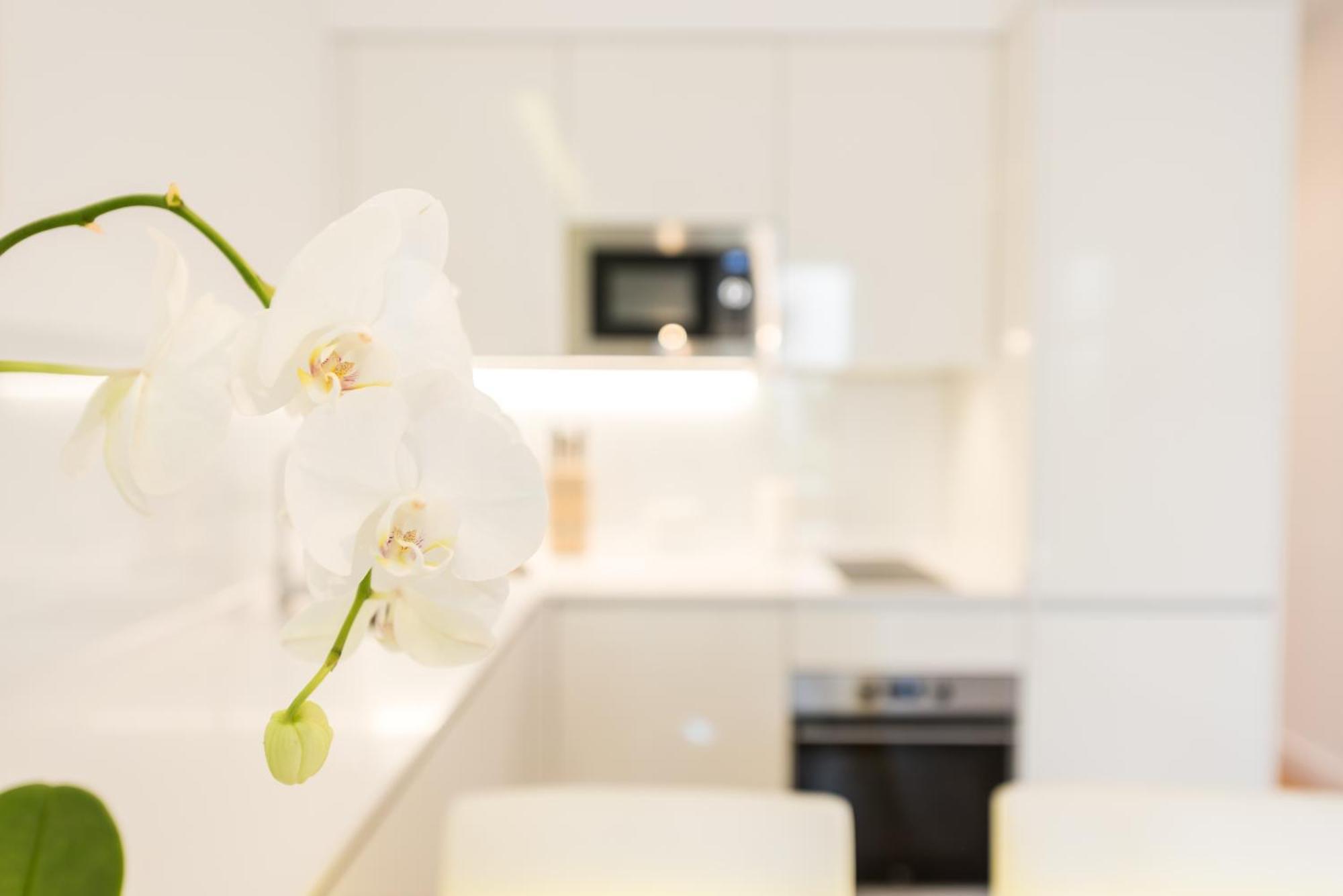 Apartamento Malasaña Plaza by Madflats Collection Madrid Exterior foto
